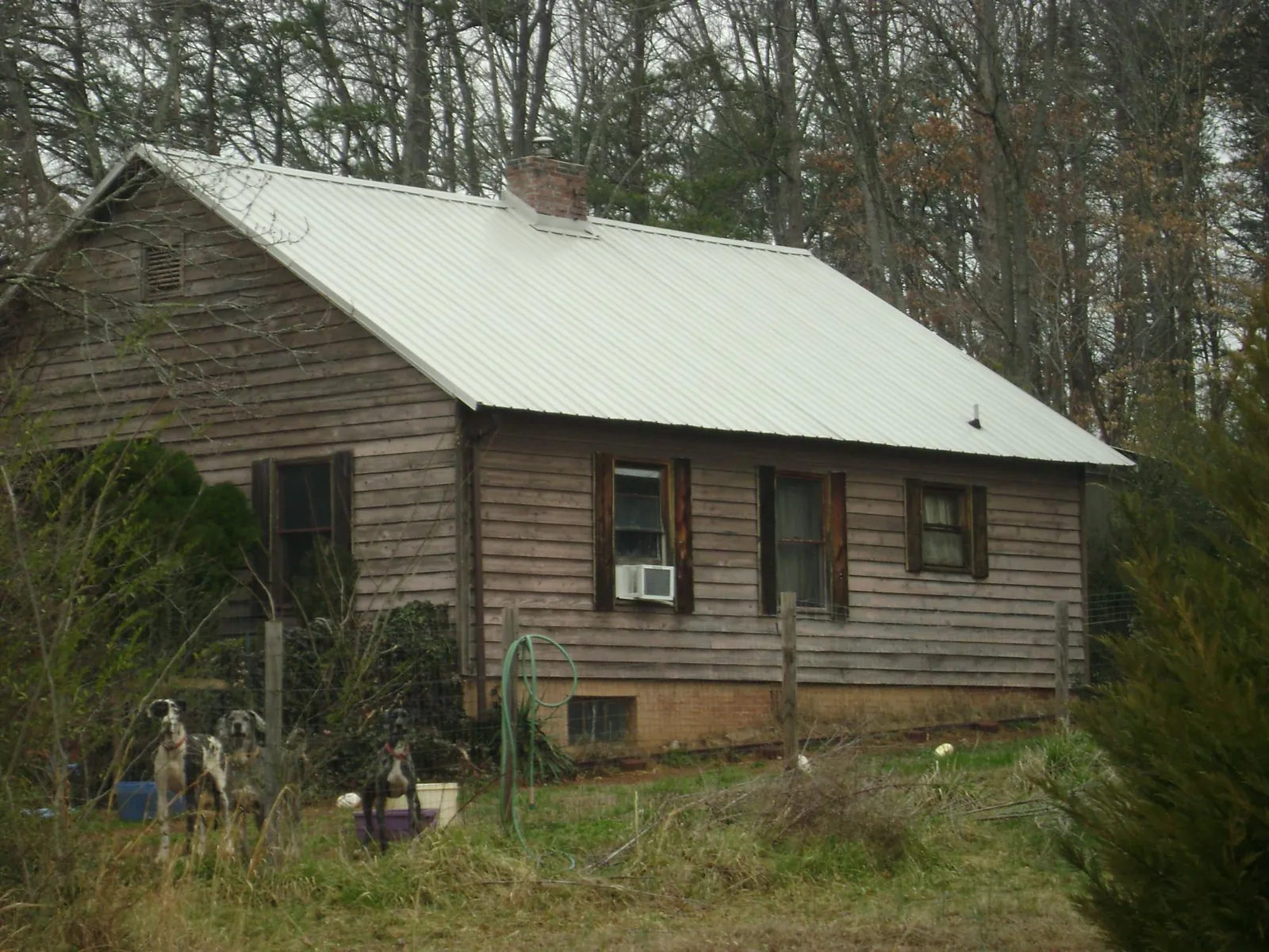 White metal roof on an old wood sided farmhouse, from a Asphalt Shingle Roof Repair job in Pennock